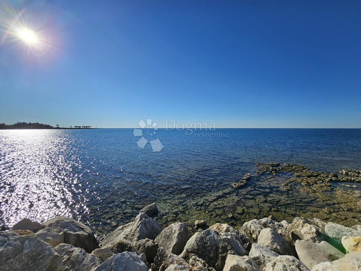 1. vrsta do morja (za prenovo)