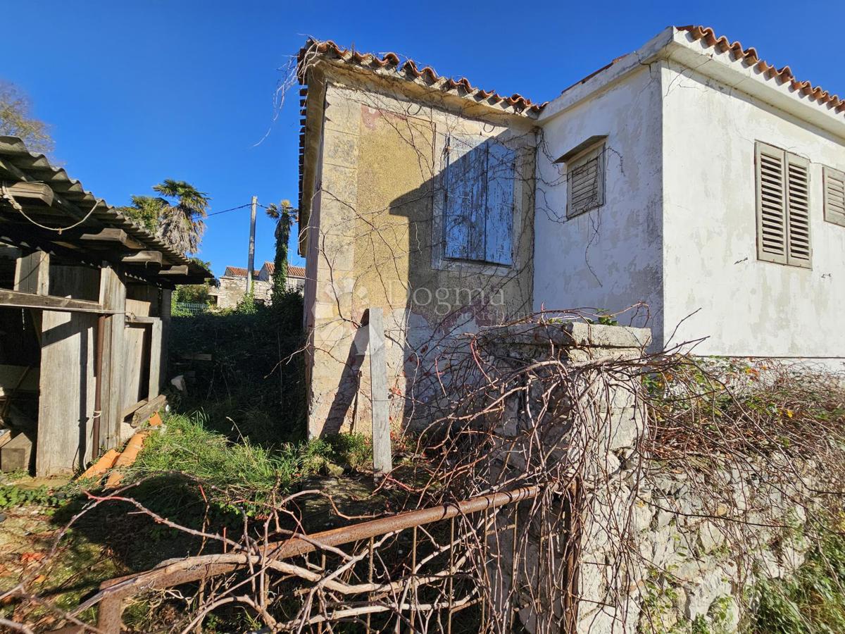 1. vrsta do morja (za prenovo)