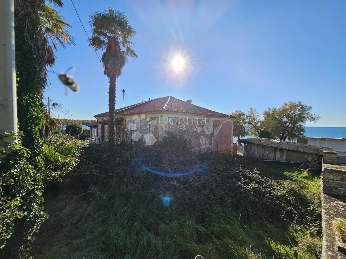 1. vrsta do morja (za prenovo)