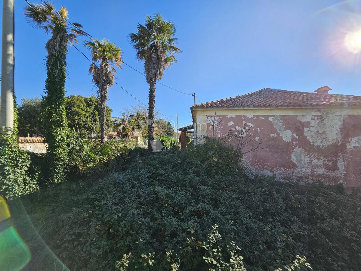 1. vrsta do morja (za prenovo)