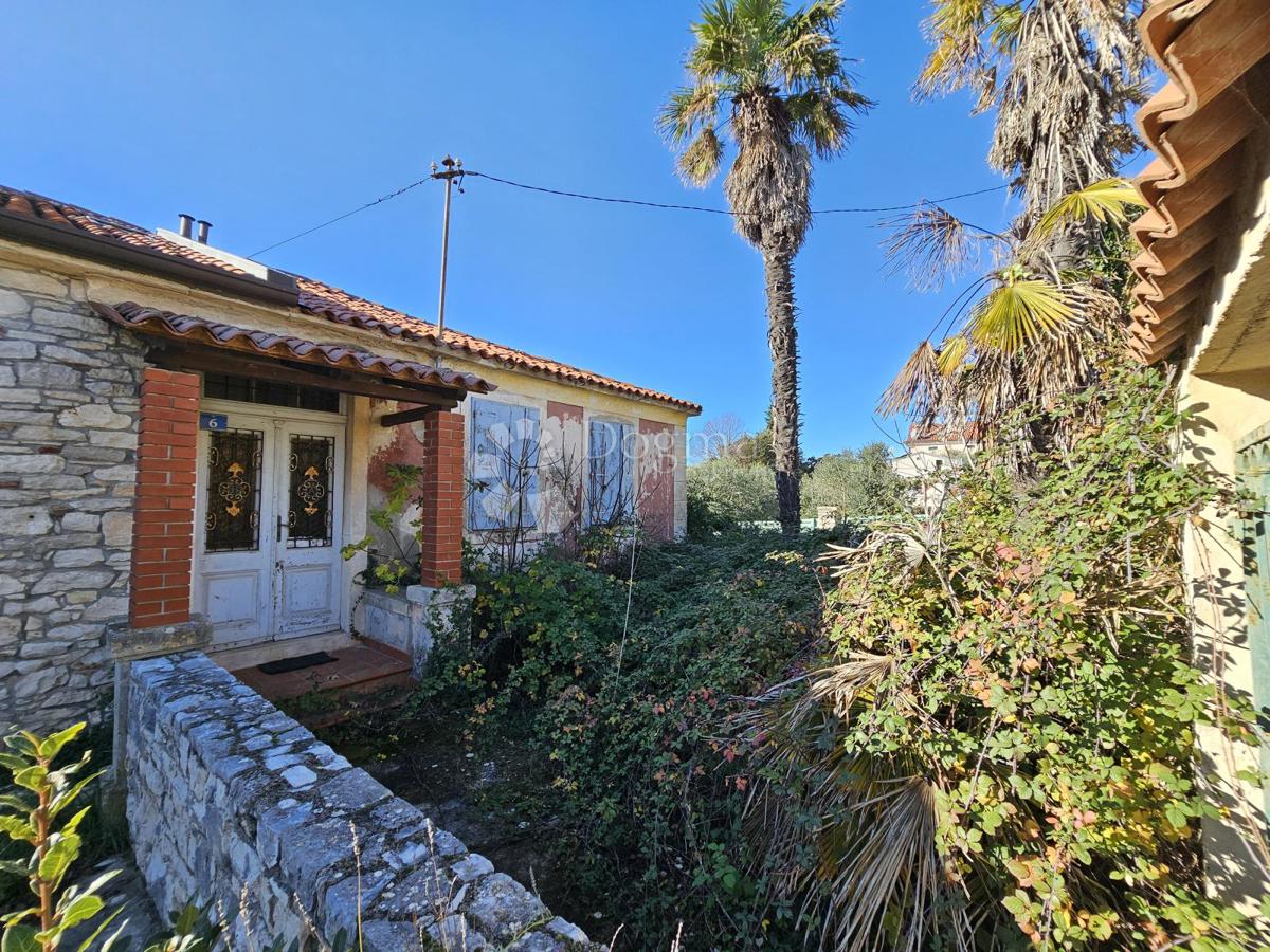 1. vrsta do morja (za prenovo)