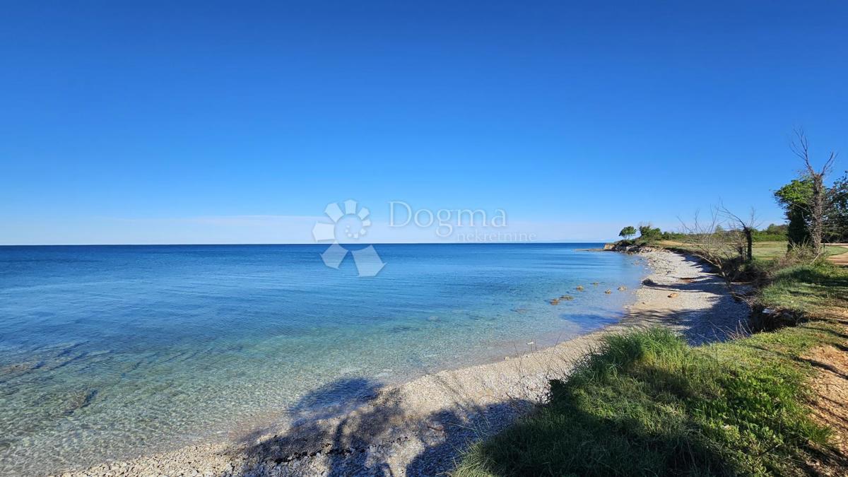 1. vrsta do morja (za prenovo)