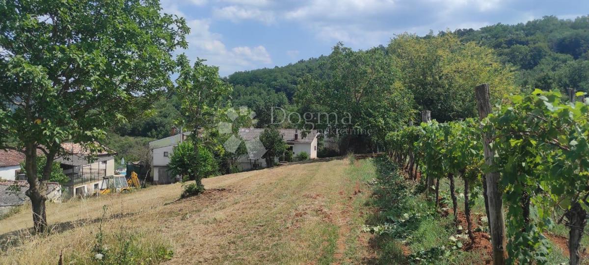 Hiša Rakotule, Karojba, 170m2