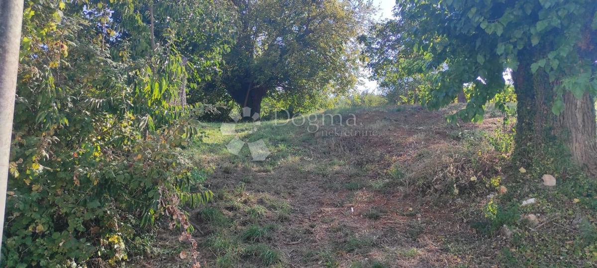 Hiša Rakotule, Karojba, 170m2