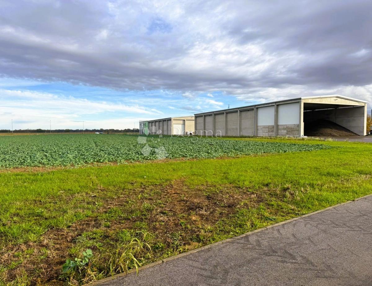 Poslovni prostor Koprivnički Ivanec, 31.199m2