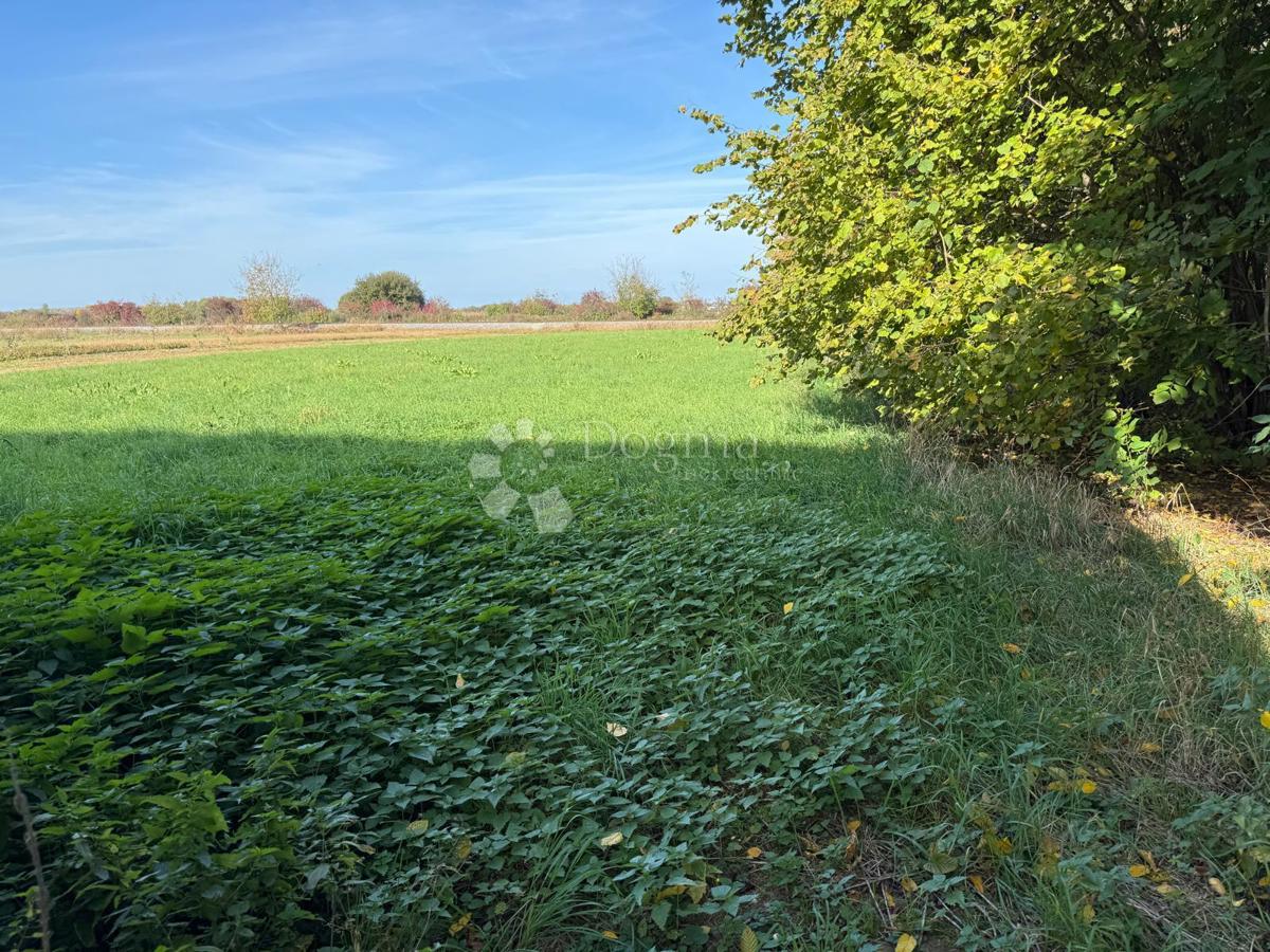 Zazidljivo zemljišče Donji Kućan, Varaždin - Okolica, 4.372m2