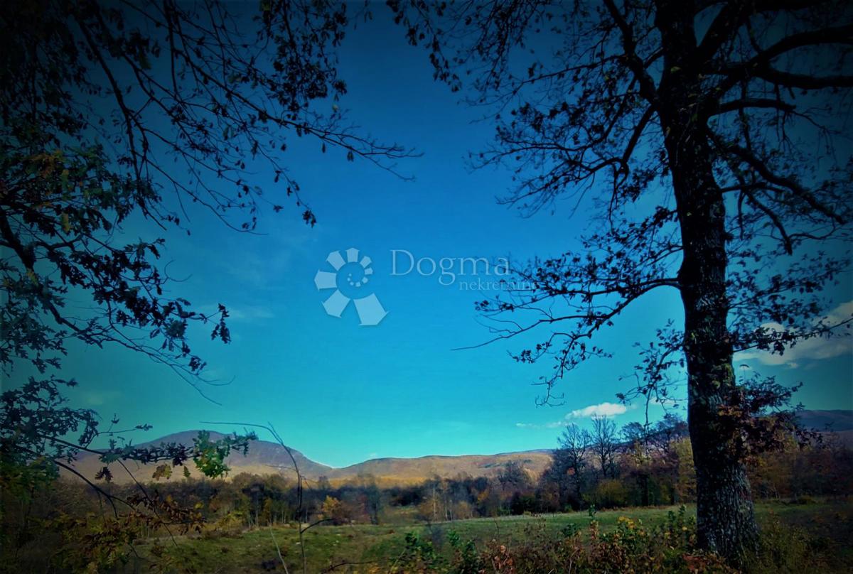 Kmetijsko zemljišče Kestenovac, Donji Lapac, 19.050m2