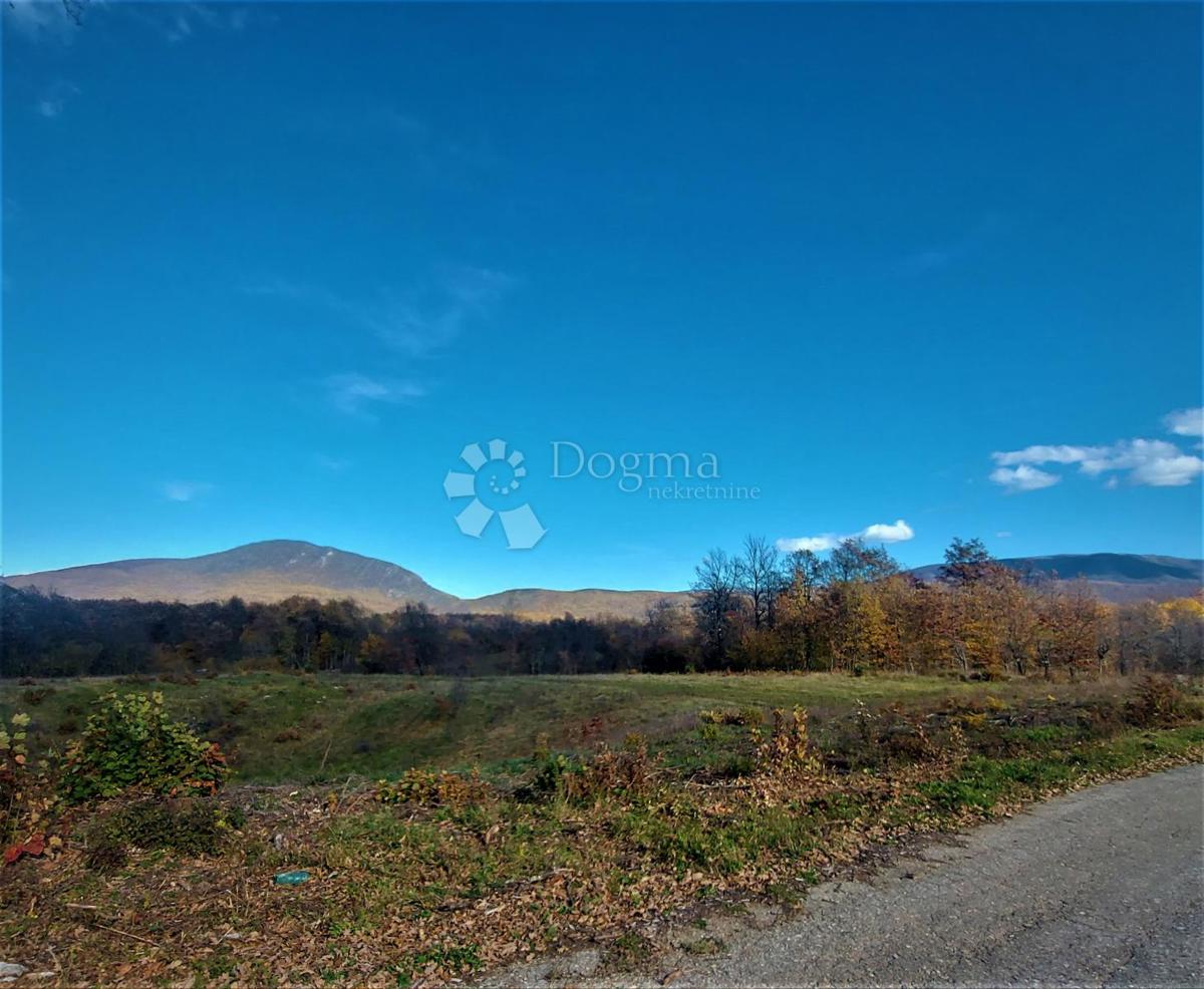 Kmetijsko zemljišče Kestenovac, Donji Lapac, 19.050m2