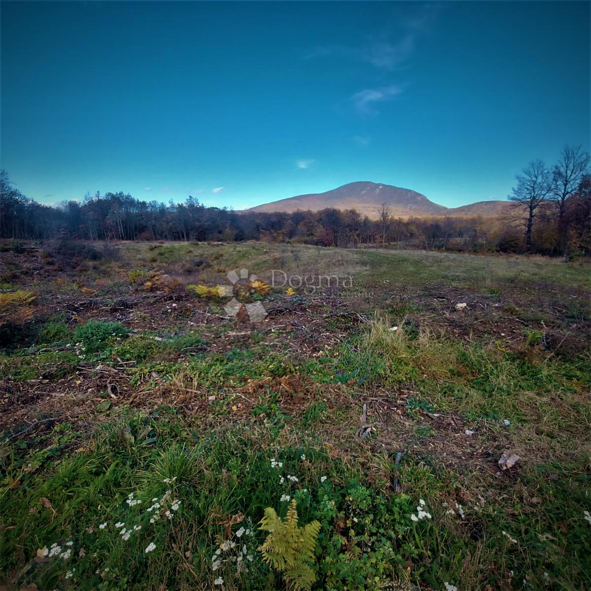 Kmetijsko zemljišče Kestenovac, Donji Lapac, 19.050m2