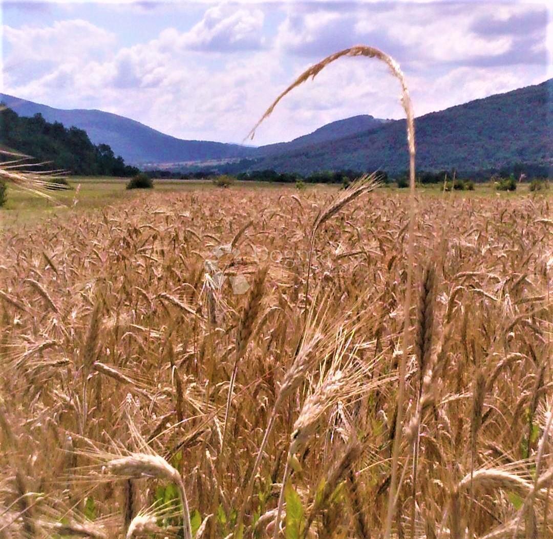 Kmetijsko zemljišče Oraovac, Donji Lapac, 10.585m2