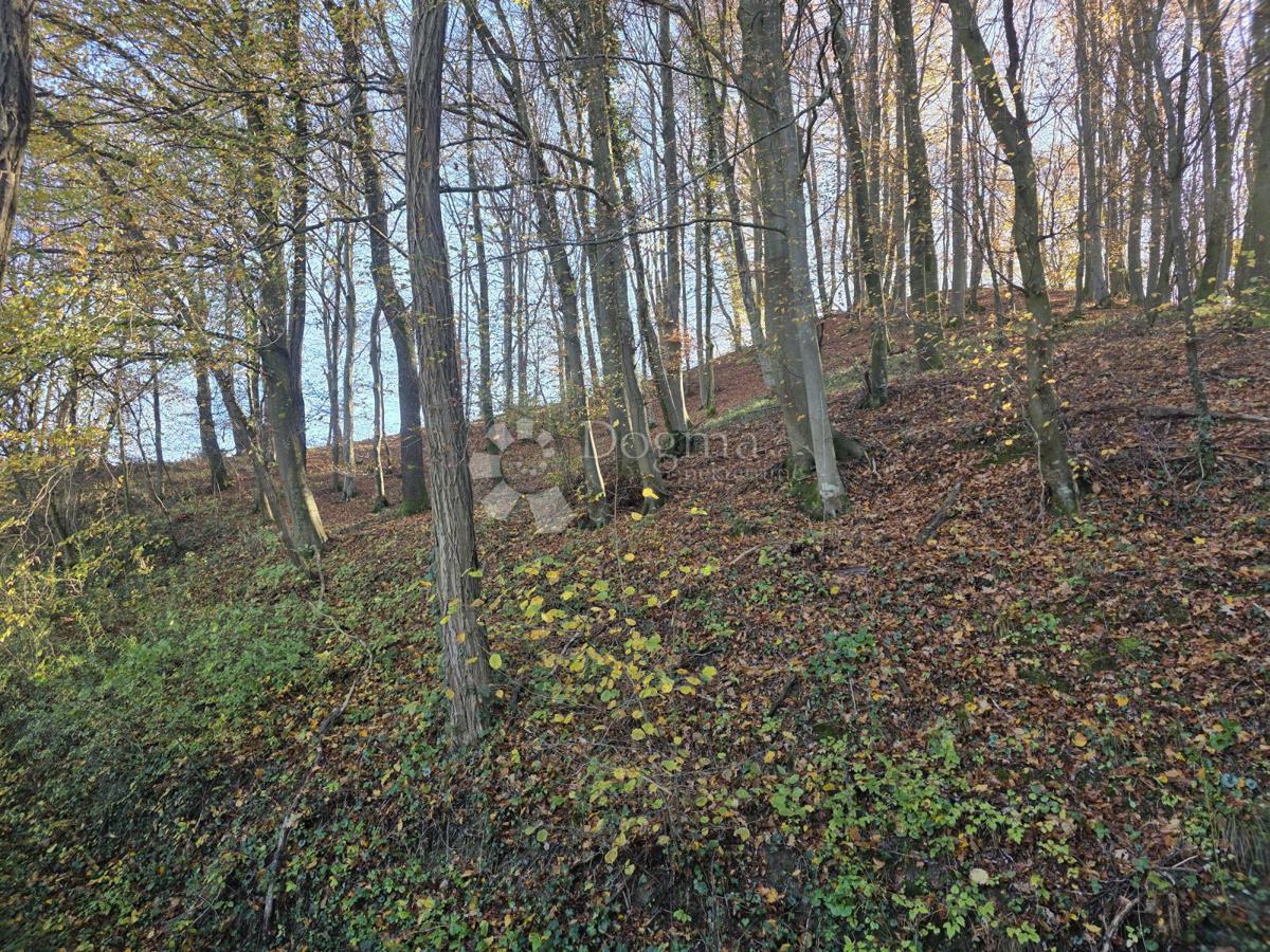 Zemljišče Selno, Krapinske Toplice, 3.938m2