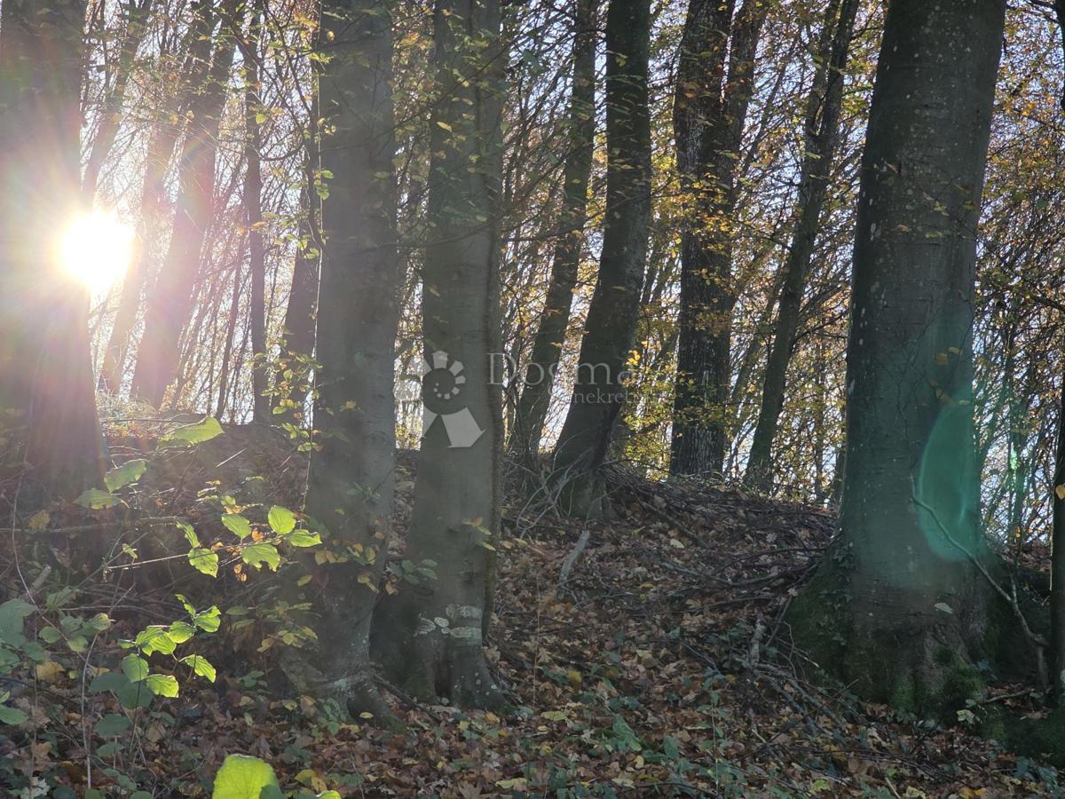 Zemljišče Selno, Krapinske Toplice, 3.938m2