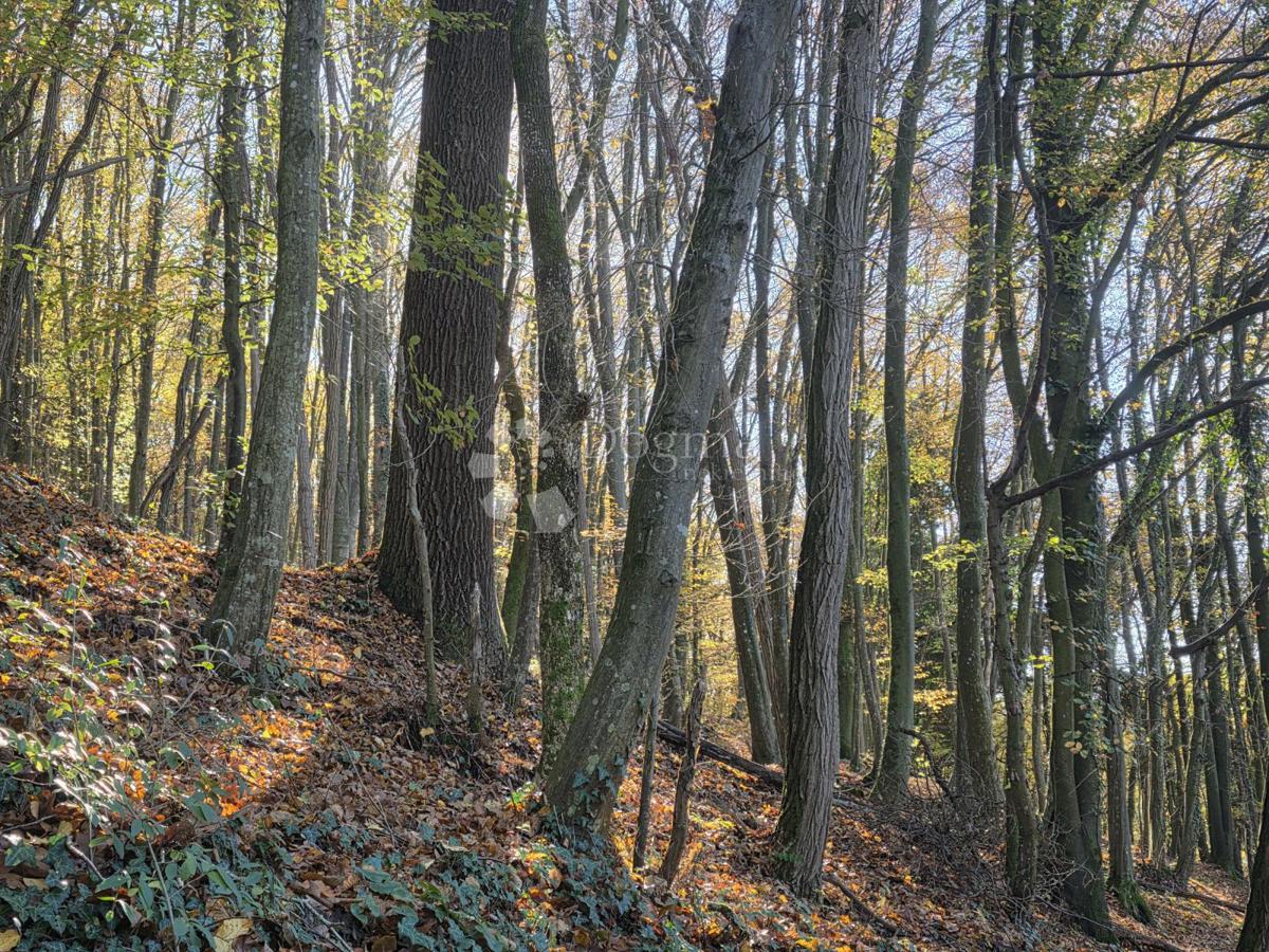Zemljišče Selno, Krapinske Toplice, 3.938m2