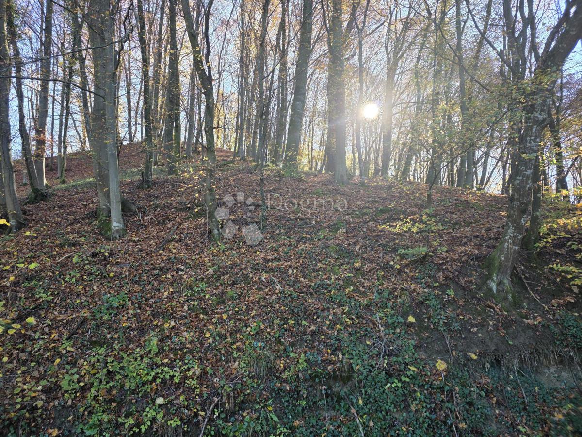 Zemljišče Selno, Krapinske Toplice, 3.938m2