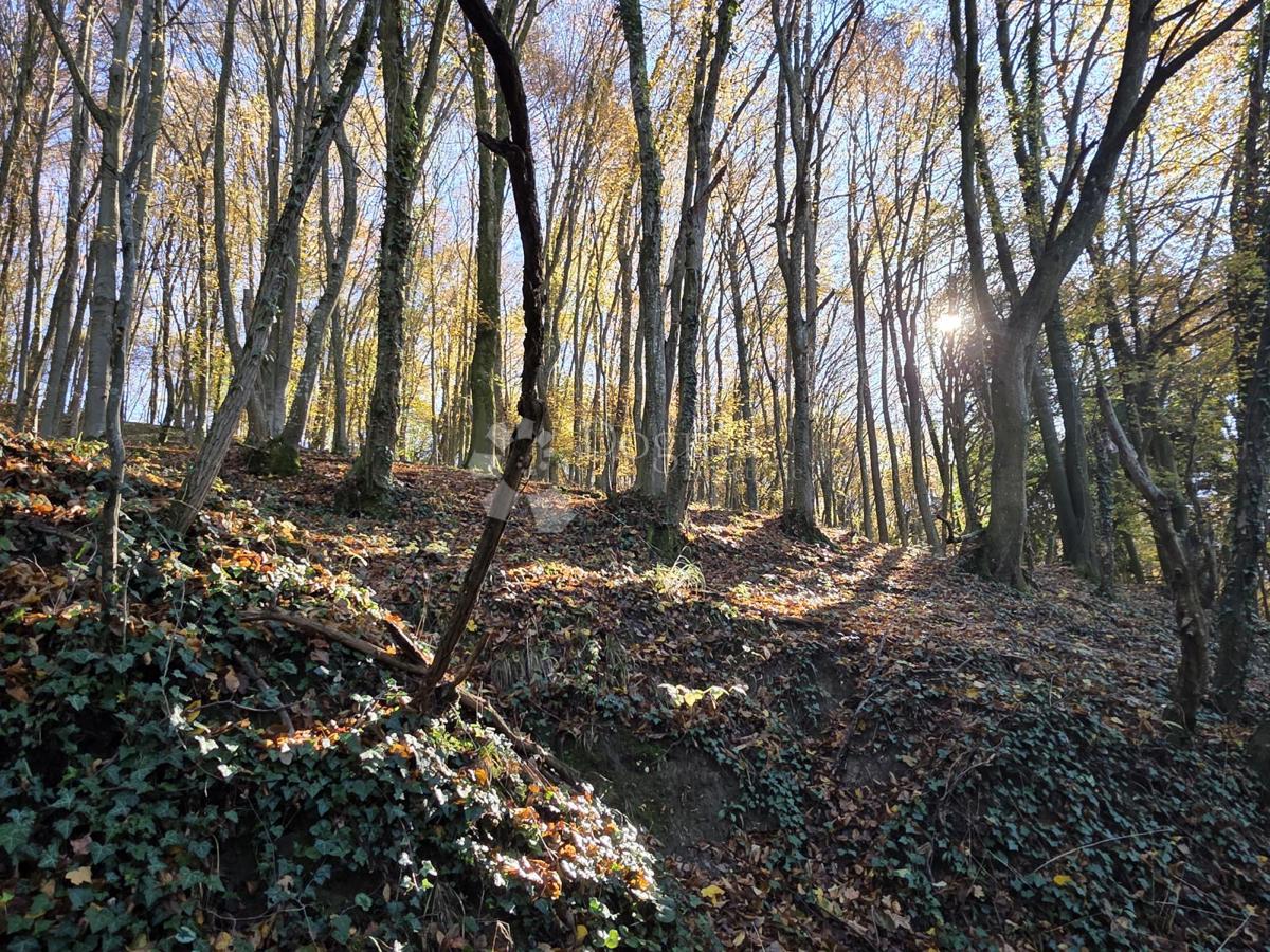 Zemljišče Selno, Krapinske Toplice, 3.938m2