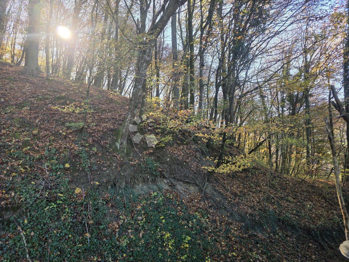 Zemljišče Selno, Krapinske Toplice, 3.938m2