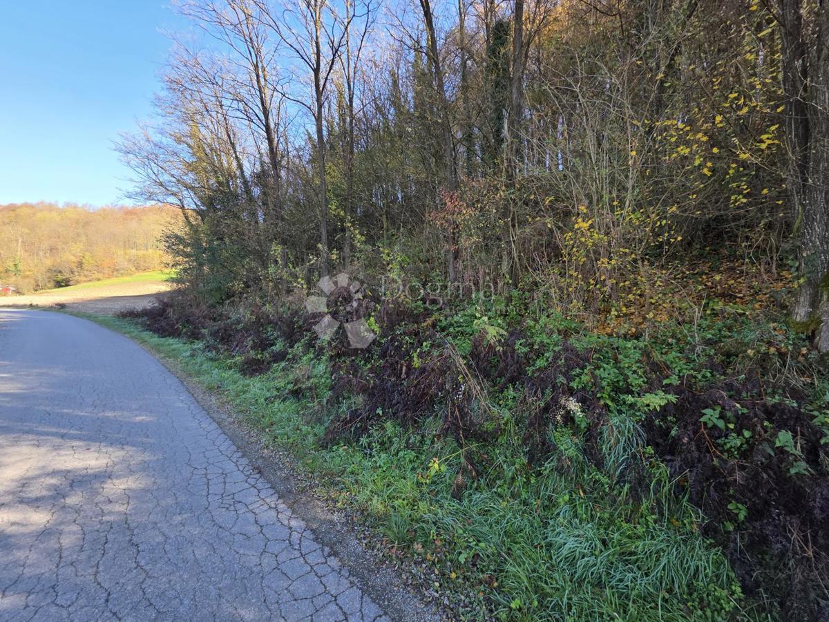 Zemljišče Selno, Krapinske Toplice, 3.938m2