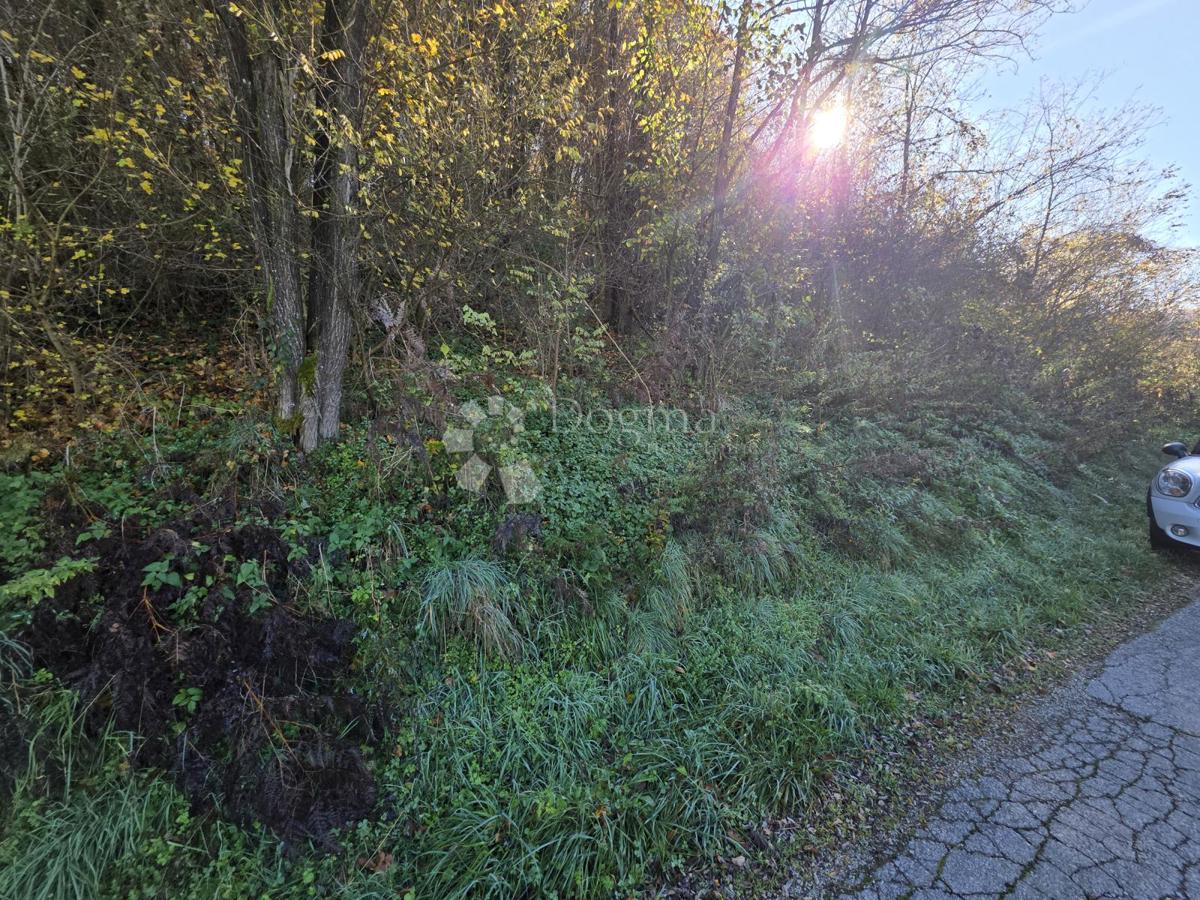 Zemljišče Selno, Krapinske Toplice, 3.938m2