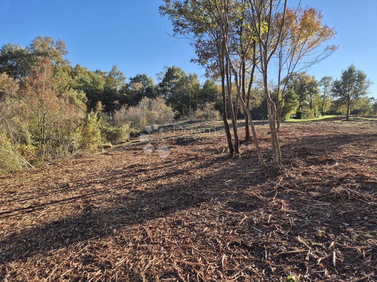 Zazidljivo zemljišče Barban, 9.700m2