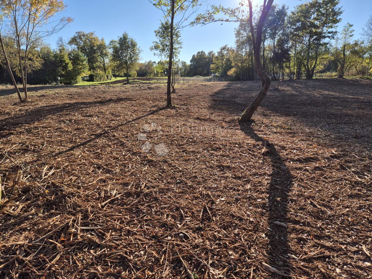 Zazidljivo zemljišče Barban, 9.700m2