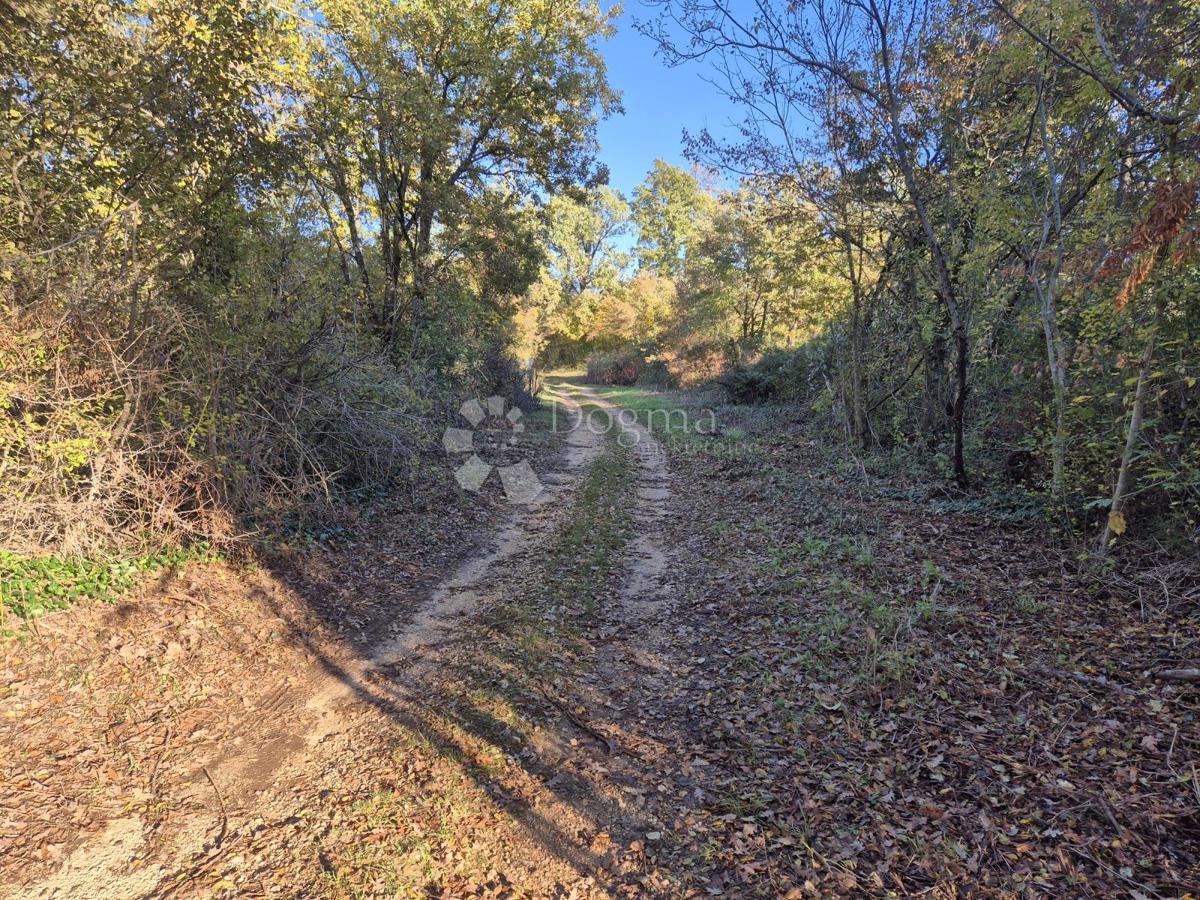 Zazidljivo zemljišče Barban, 9.700m2