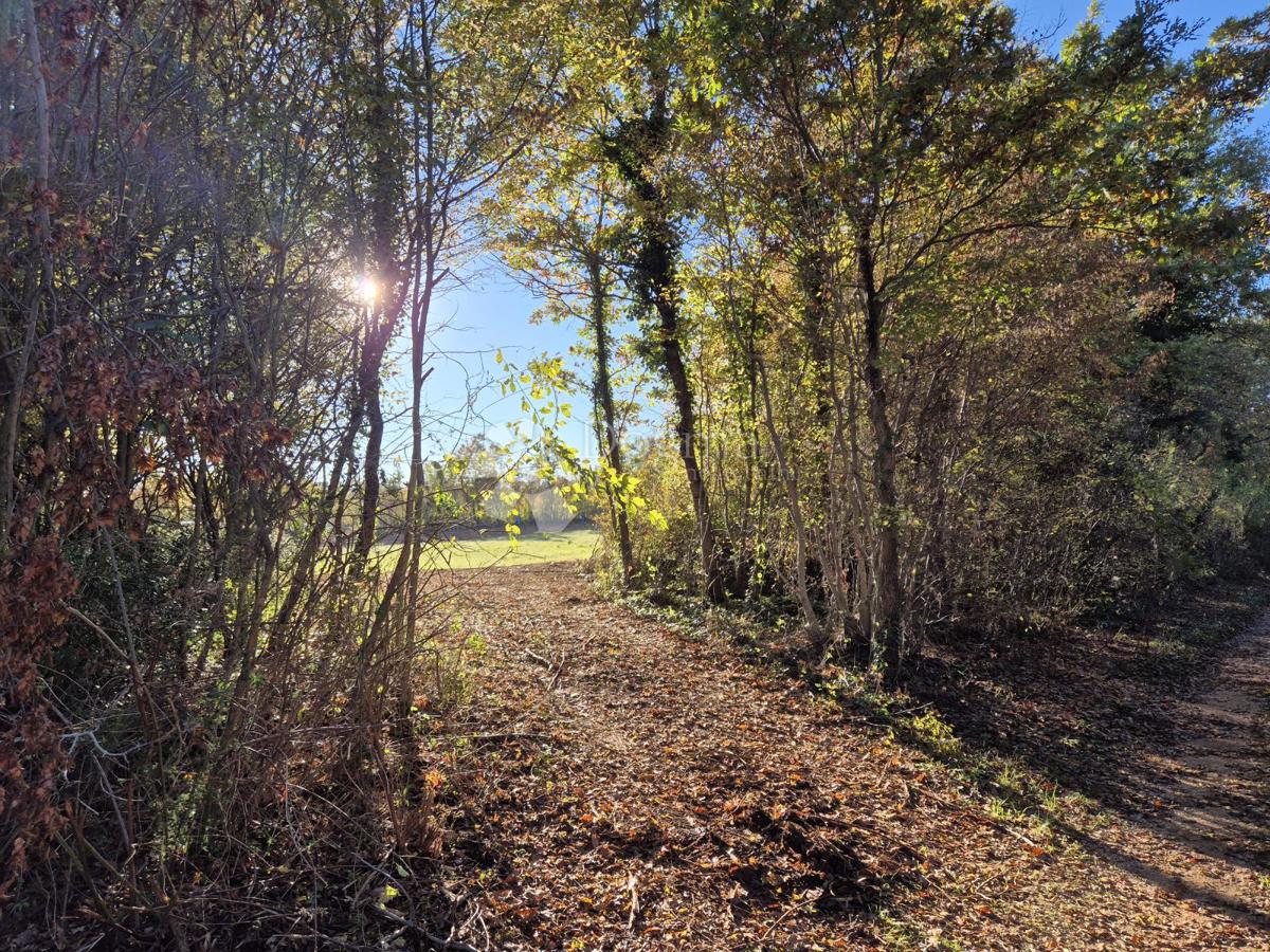 Zazidljivo zemljišče Barban, 9.700m2