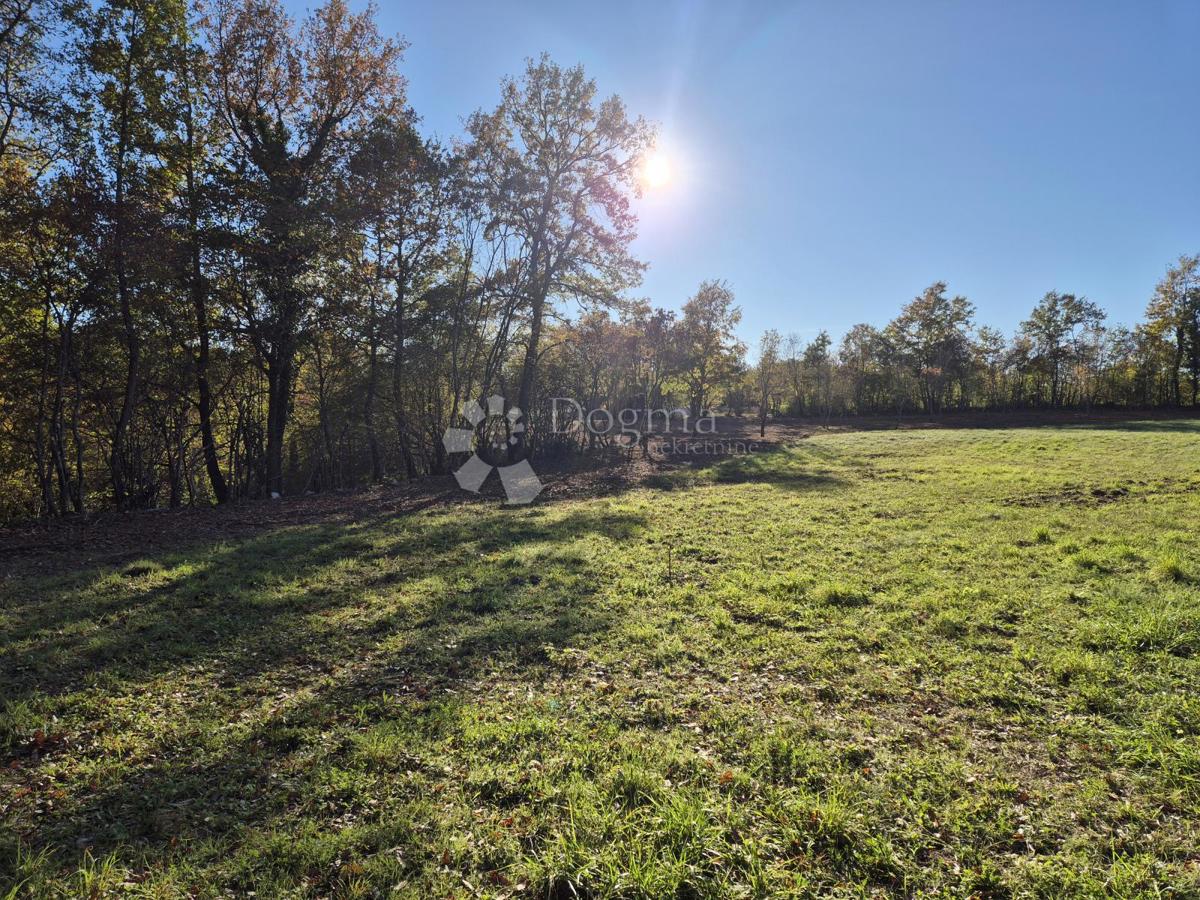 Zazidljivo zemljišče Barban, 9.700m2