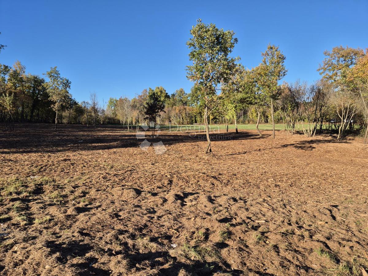 Zazidljivo zemljišče Barban, 9.700m2