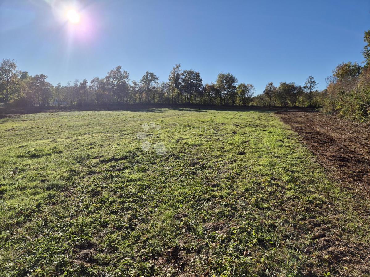 Zazidljivo zemljišče Barban, 9.700m2