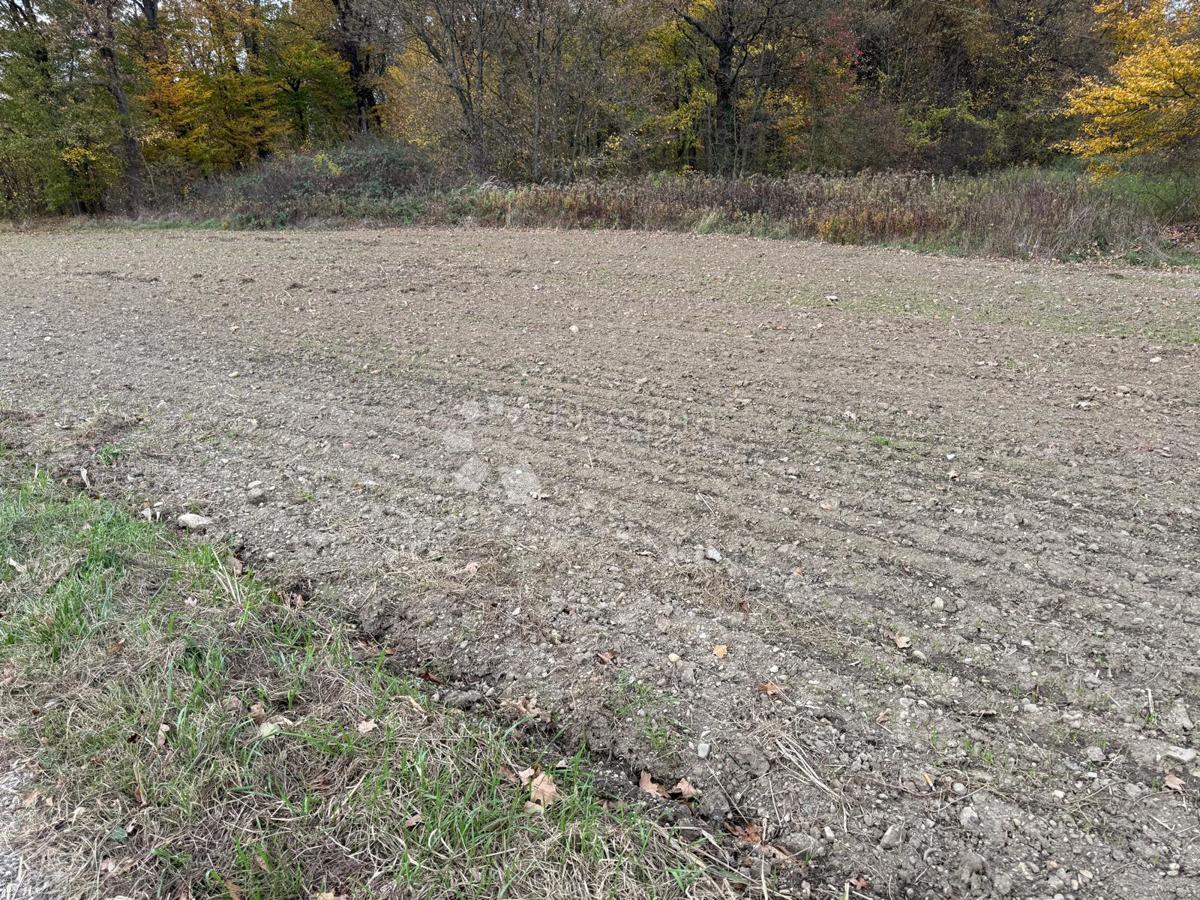 Kmetijsko zemljišče Poljana Biškupečka, Varaždin - Okolica, 2.742m2