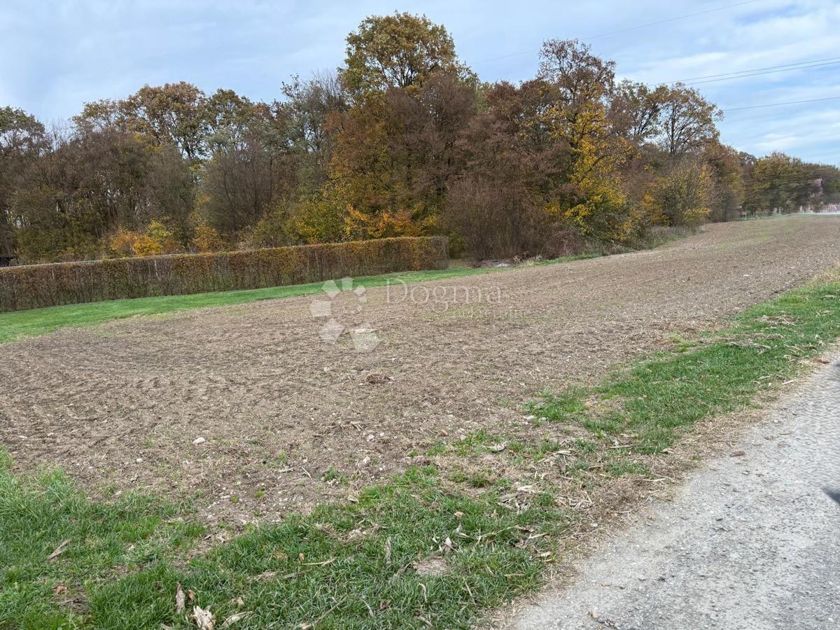 Kmetijsko zemljišče Poljana Biškupečka, Varaždin - Okolica, 2.742m2