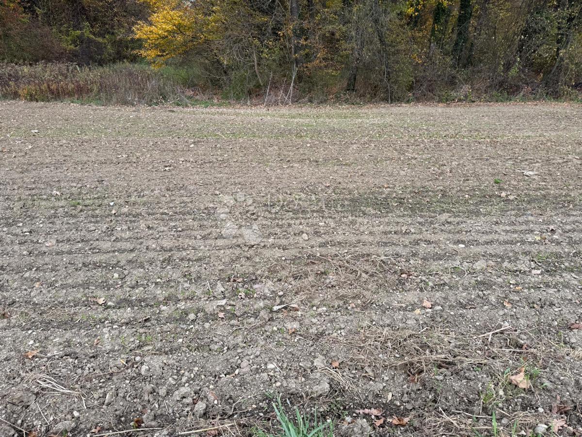 Kmetijsko zemljišče Poljana Biškupečka, Varaždin - Okolica, 2.742m2