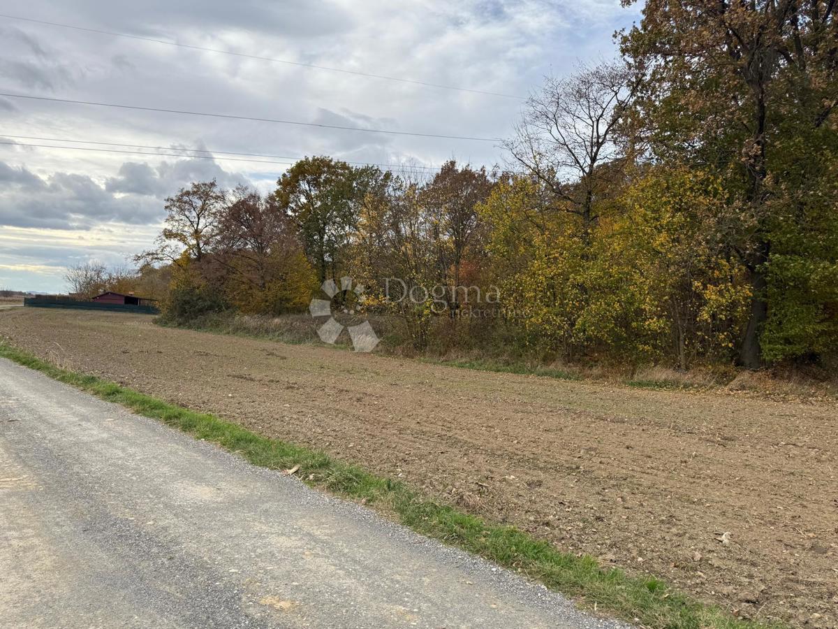 Kmetijsko zemljišče Poljana Biškupečka, Varaždin - Okolica, 2.742m2