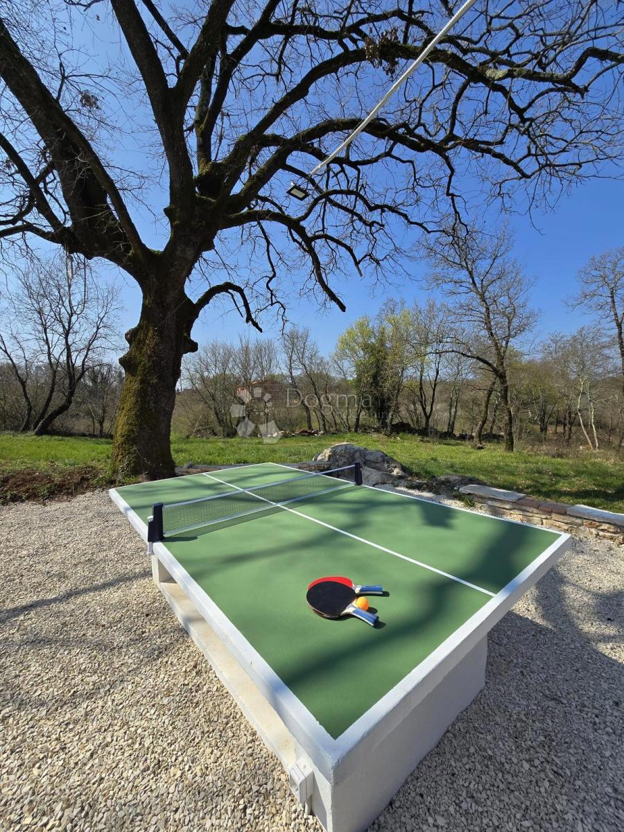 ZNIŽANO!!!! USTANOVLJENA POČITNIŠKA HIŠA Z BAZENOM