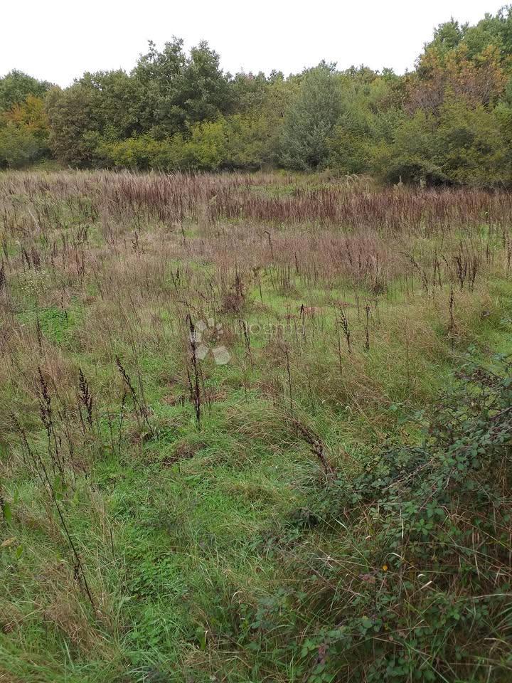 Kmetijsko zemljišče Cukrići, Svetvinčenat, 3.389m2