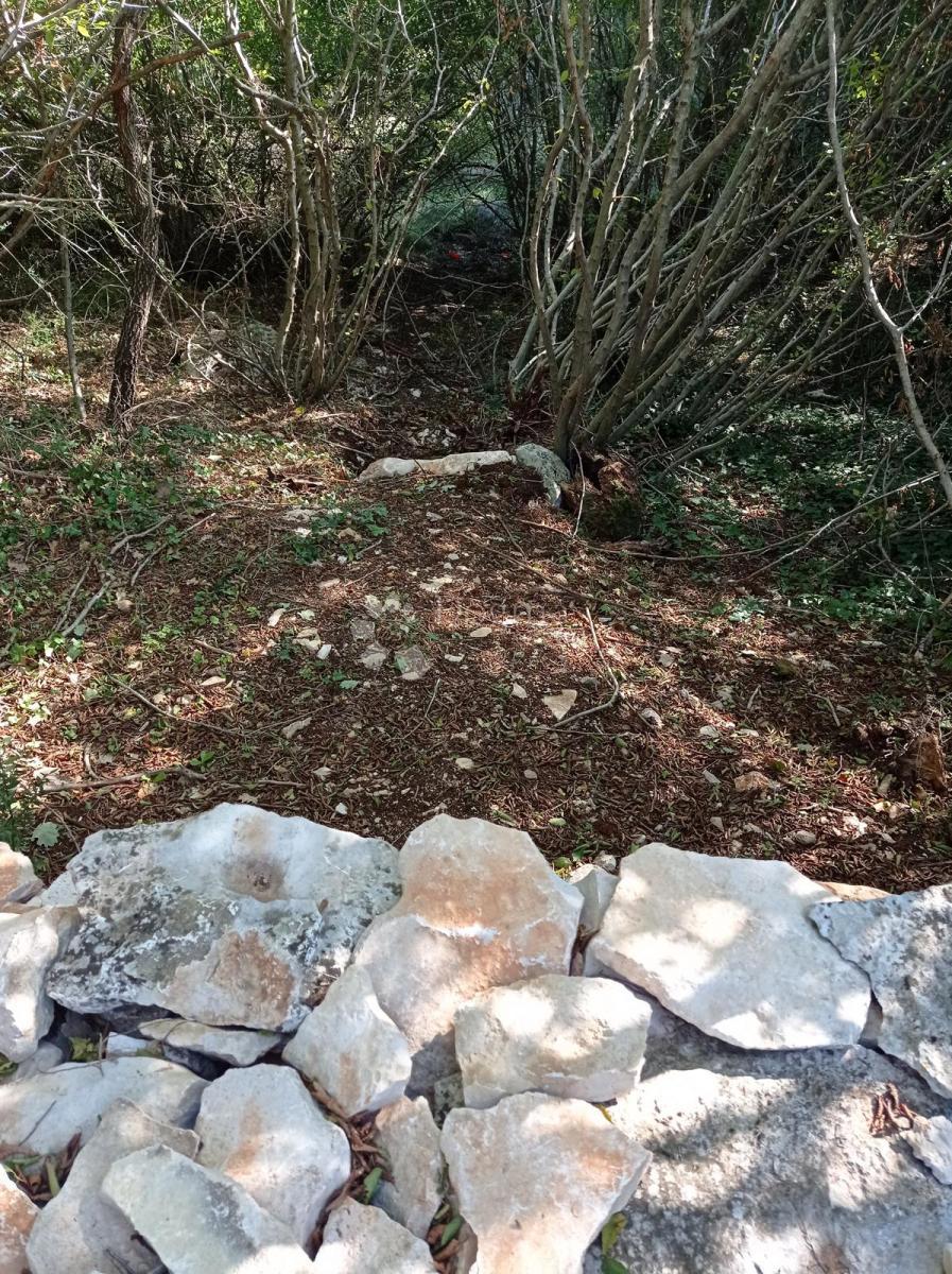 Kmetijsko zemljišče Cukrići, Svetvinčenat, 3.389m2