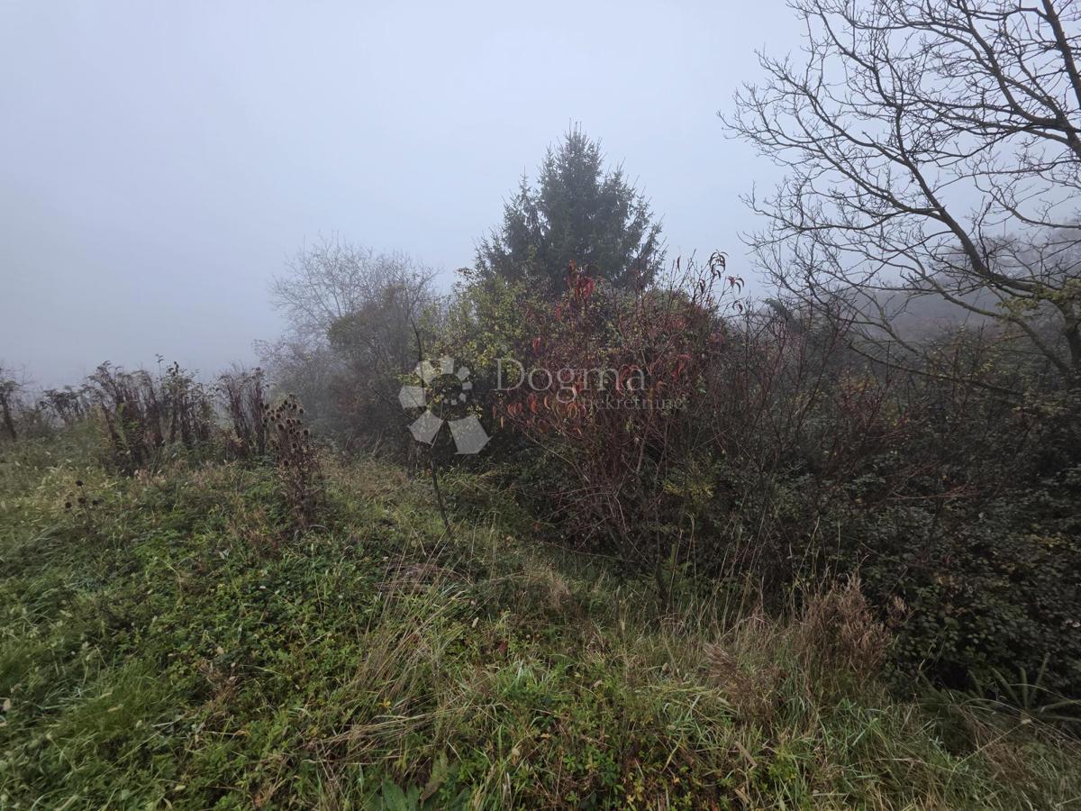 Kmetijsko zemljišče Jakovlje, 435m2