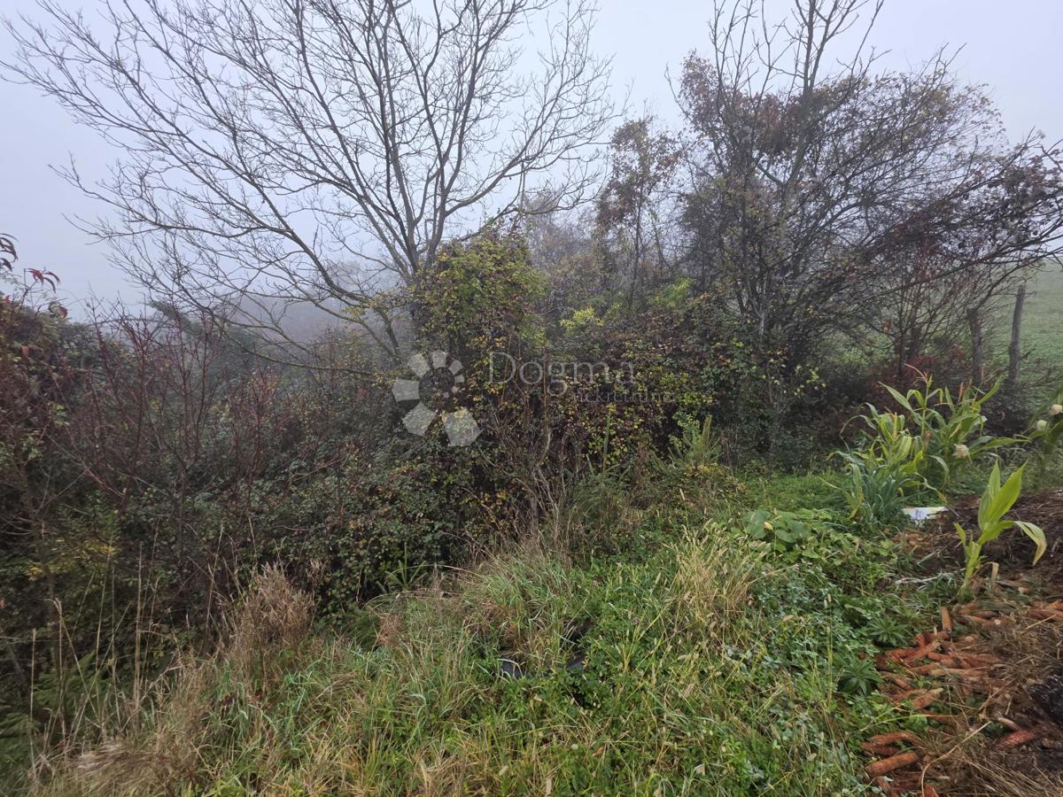 Kmetijsko zemljišče Jakovlje, 435m2