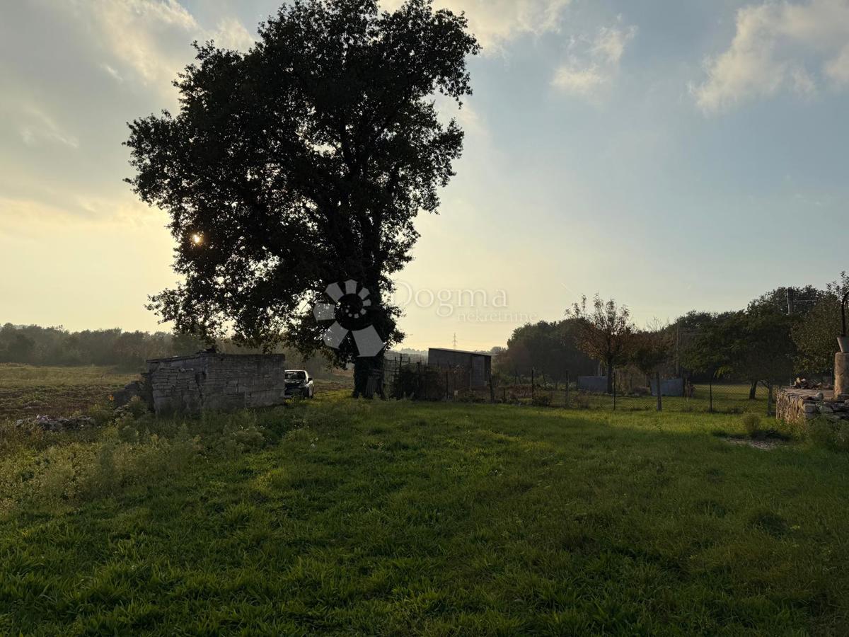 Hiša za popolno prenovo na 541 m2 vrta