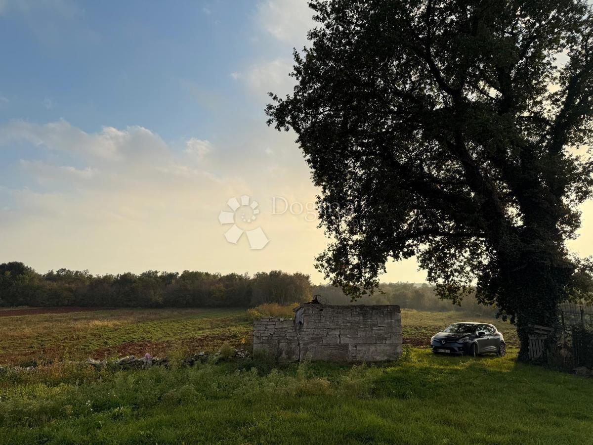 Hiša za popolno prenovo na 541 m2 vrta