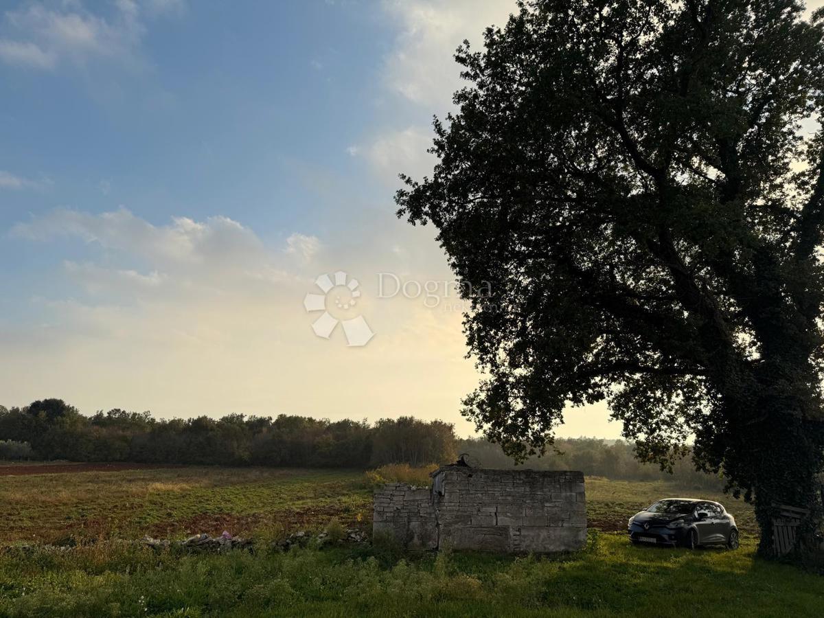 Hiša za popolno prenovo na 541 m2 vrta