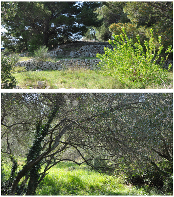 Zazidljivo zemljišče Podgora, 6356 m2