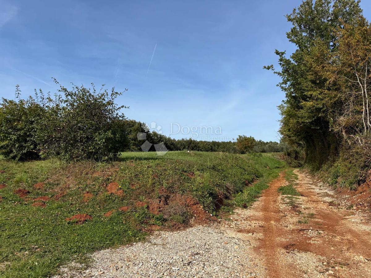 Zazidljivo zemljišče Vadreš, Barban, 827m2