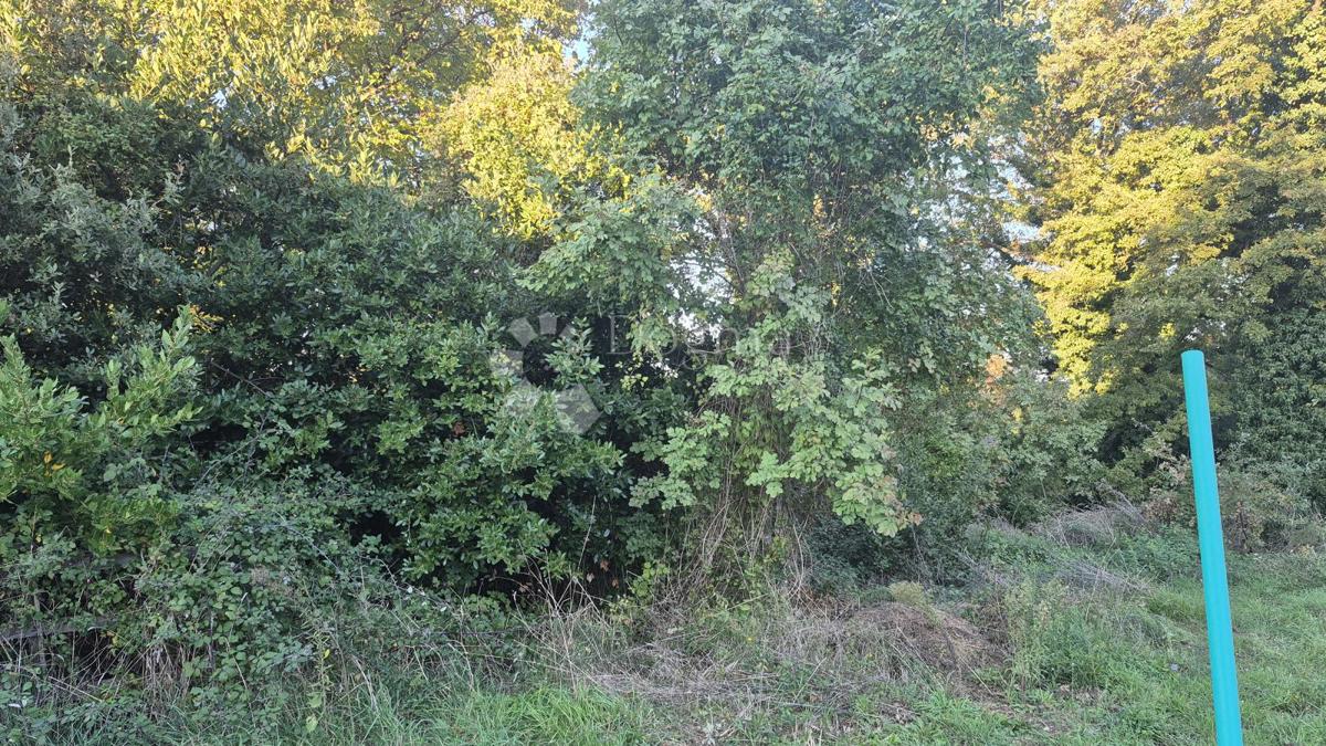 Gradbeno zemljišče površine 1968 m2, 2 km od morja, 80 EUR/M2