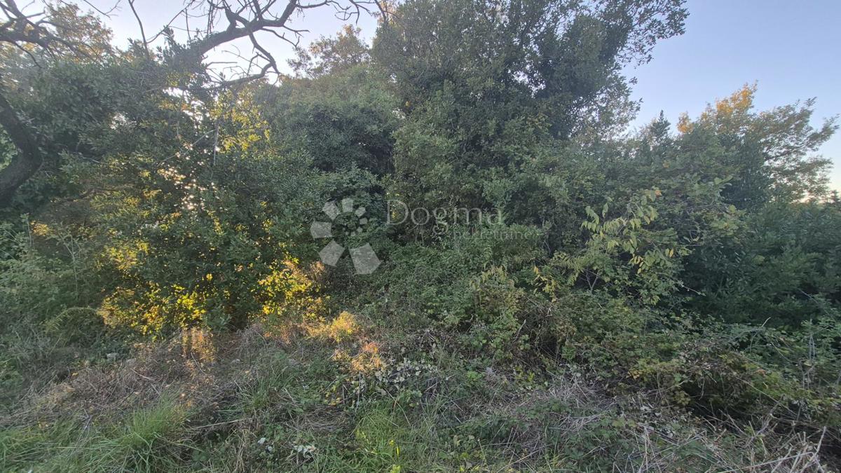 Gradbeno zemljišče površine 1968 m2, 2 km od morja, 80 EUR/M2