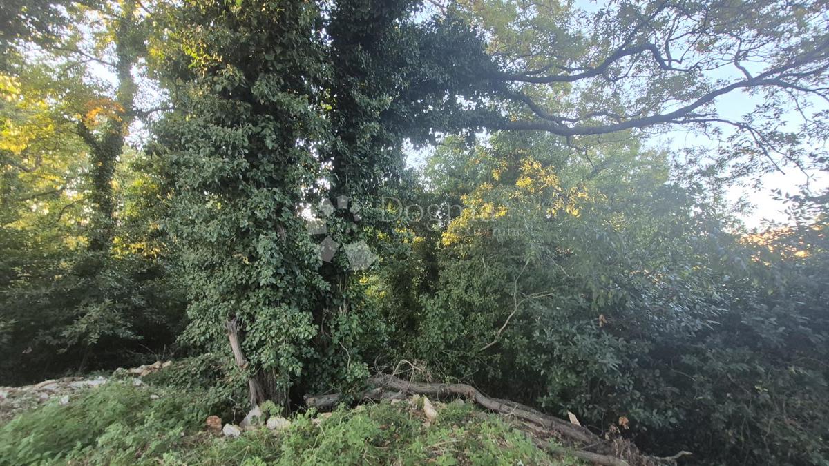 Gradbeno zemljišče površine 1968 m2, 2 km od morja, 80 EUR/M2