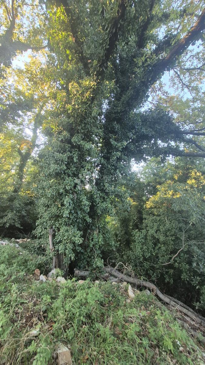 Gradbeno zemljišče površine 1968 m2, 2 km od morja, 80 EUR/M2