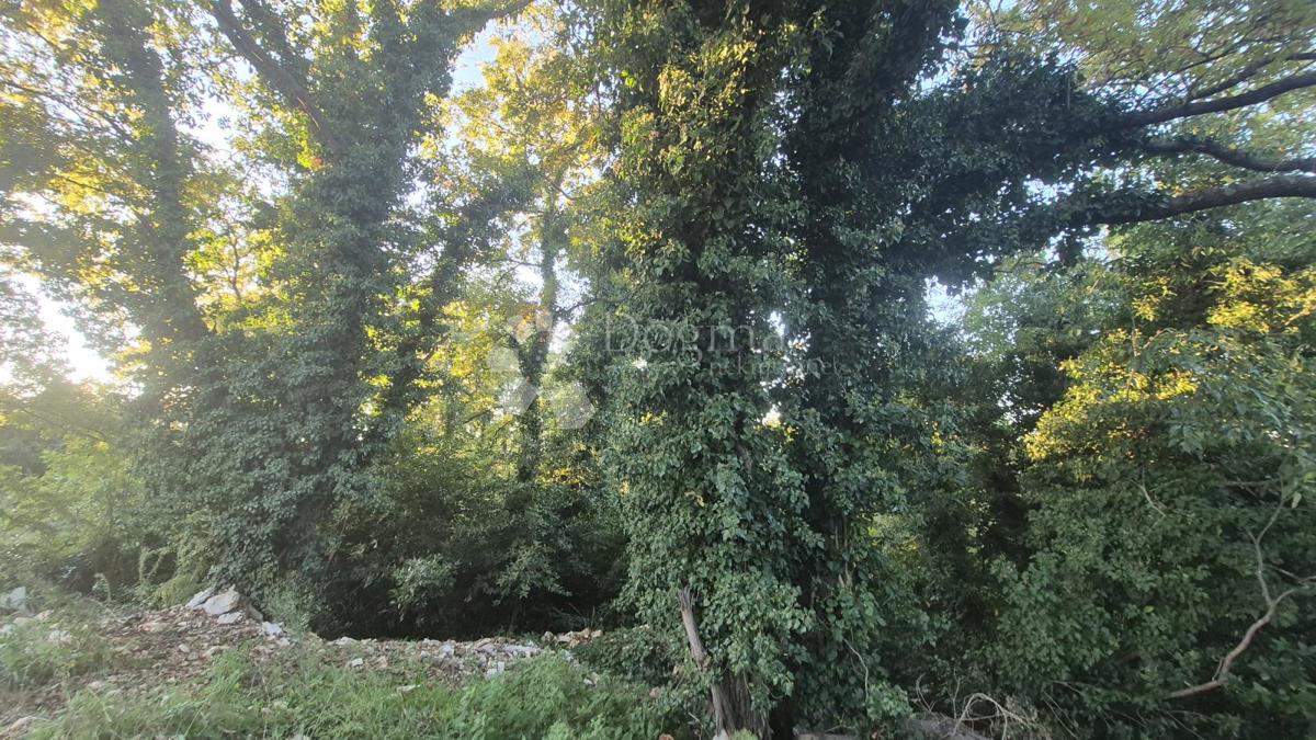 Gradbeno zemljišče površine 1968 m2, 2 km od morja, 80 EUR/M2