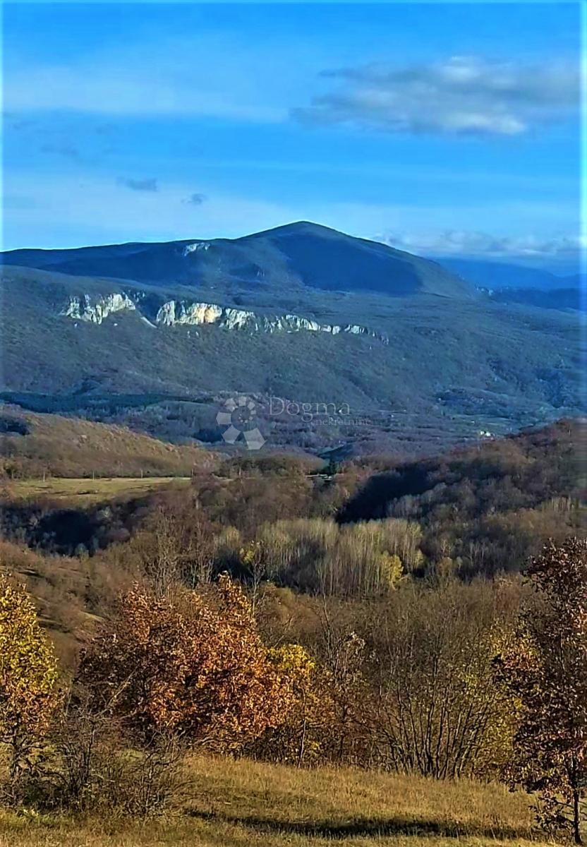 Kmetijsko zemljišče Kestenovac, Donji Lapac, 25.160m2