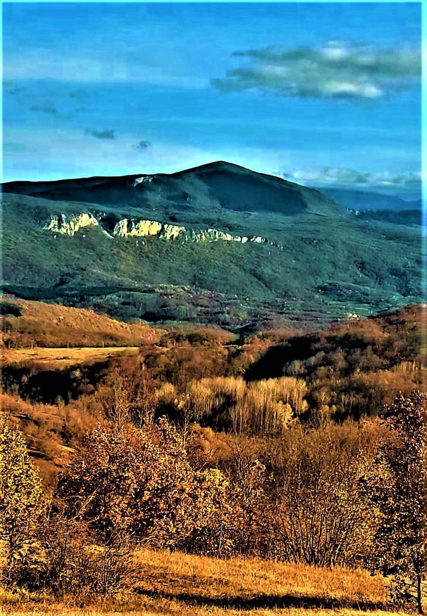 Kmetijsko zemljišče Kestenovac, Donji Lapac, 25.160m2